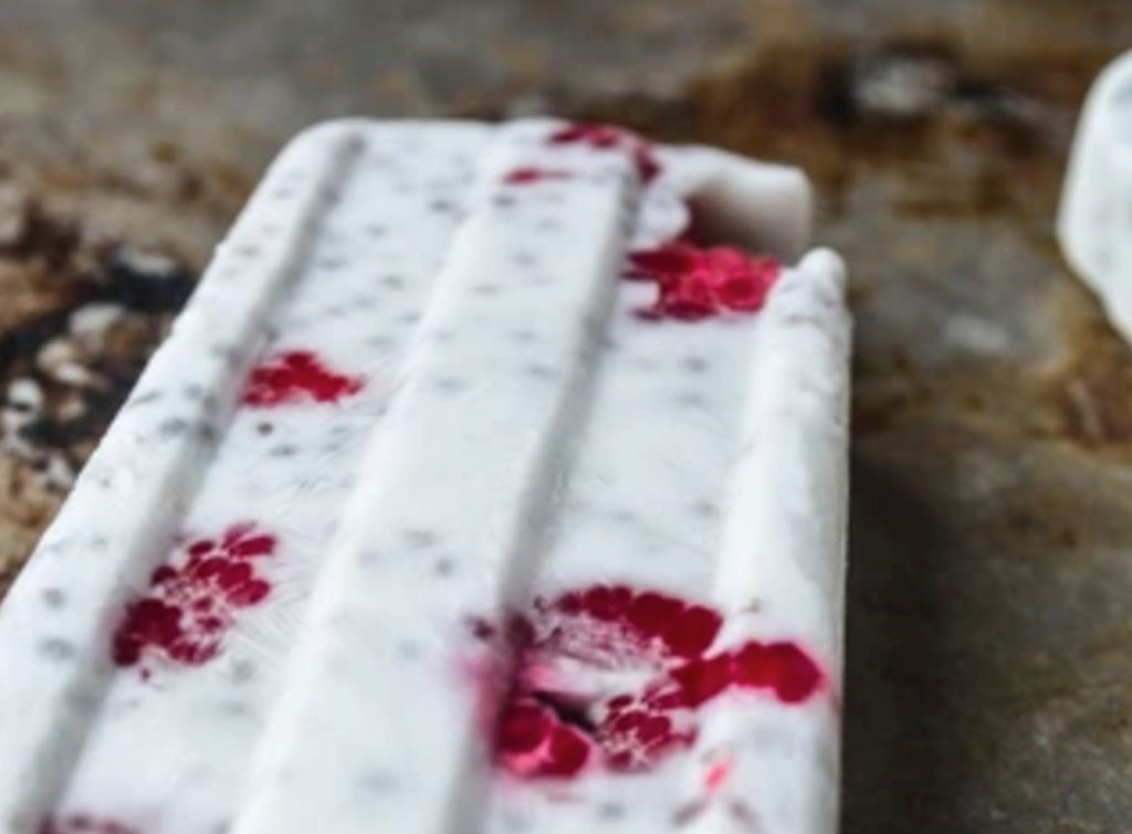 Coconut and Raspberry Chia Popsicle